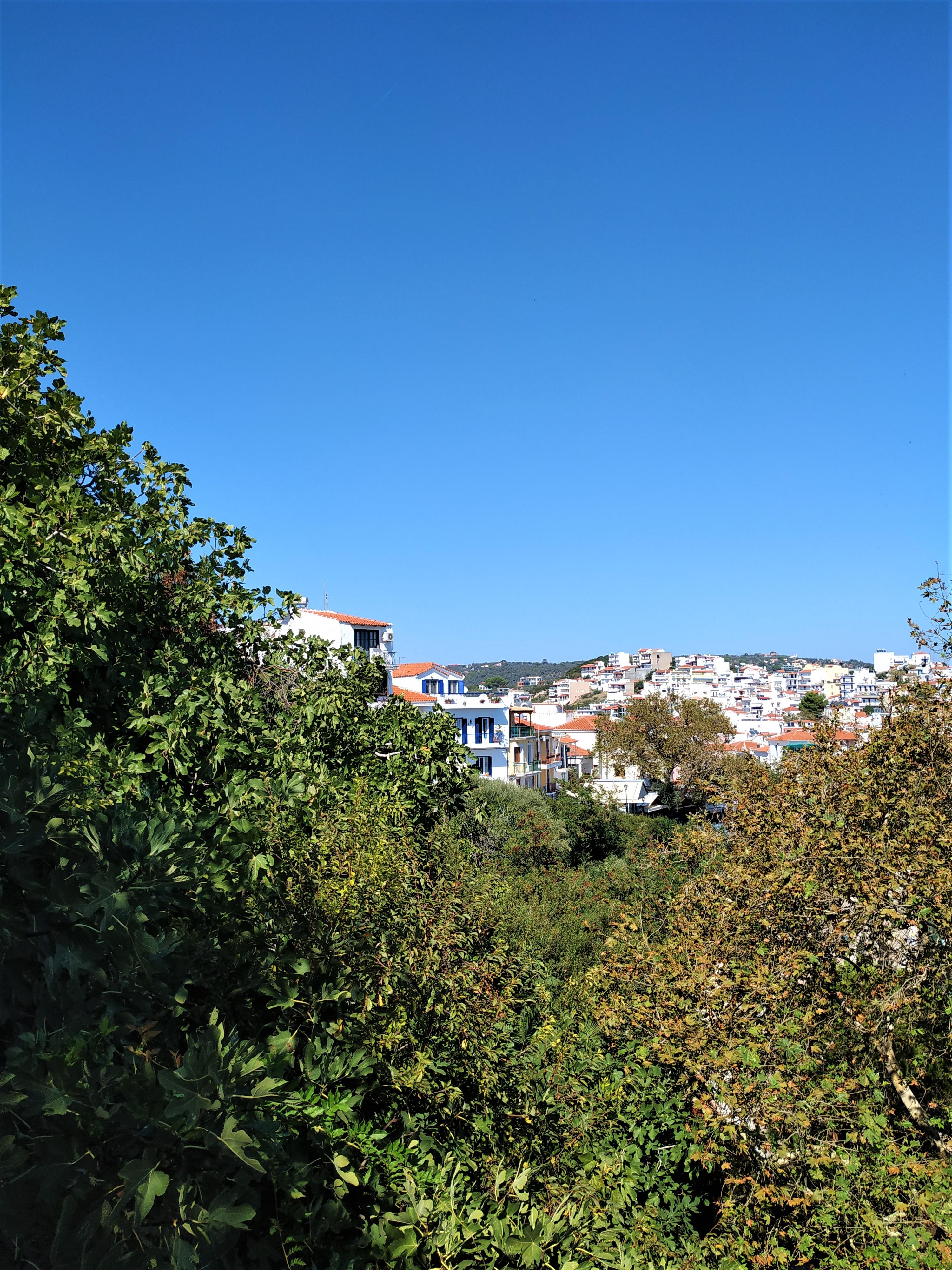 Argo Pension Skiathos Town Bagian luar foto