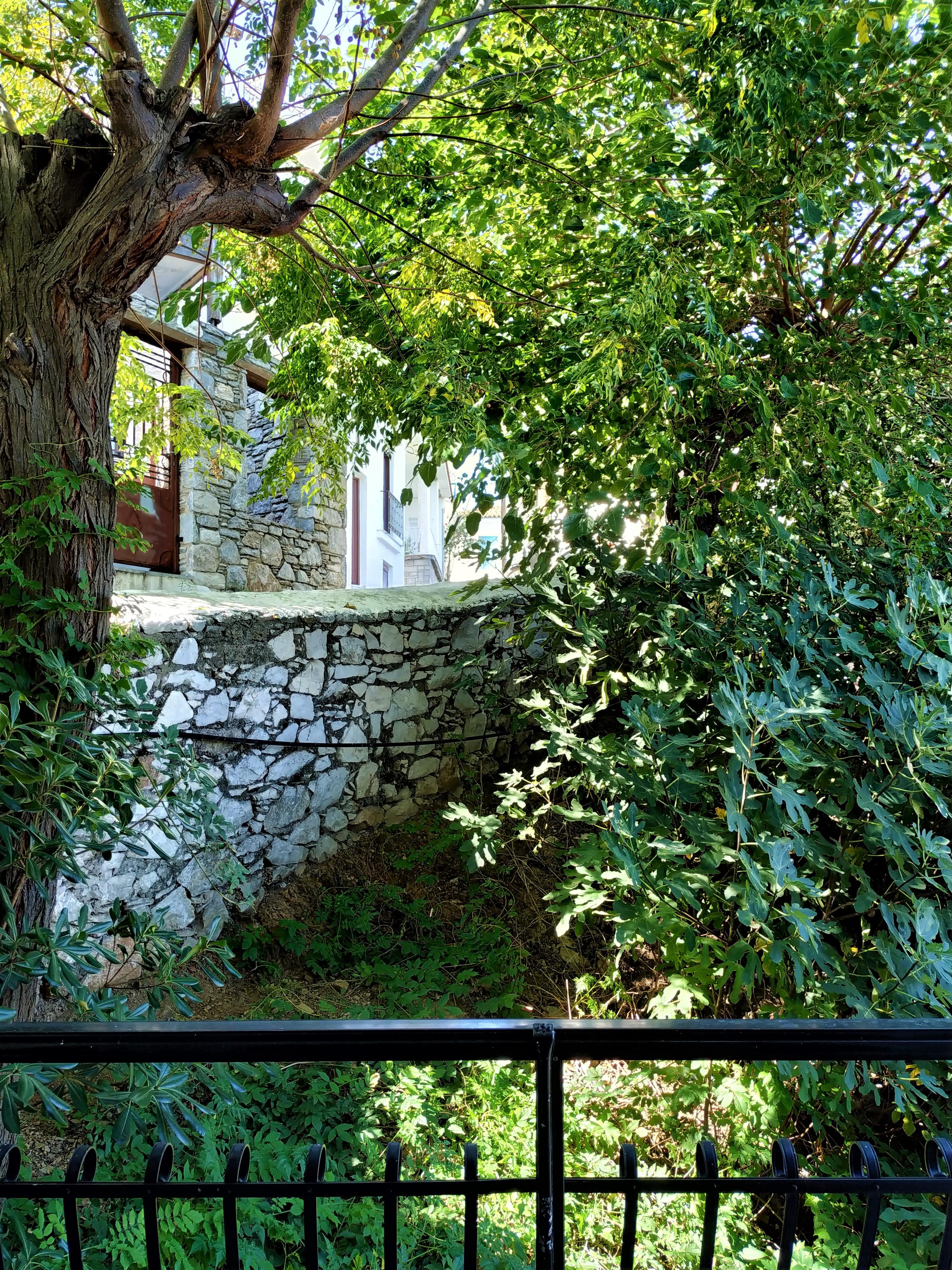 Argo Pension Skiathos Town Bagian luar foto